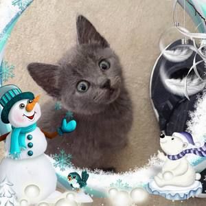 Meet your Posher, Allene